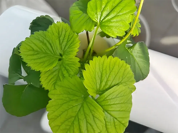 b84ed7bc57d0b59692e69357bd6772cc.png b84ed7bc57d0b59692e69357bd6772cc.png