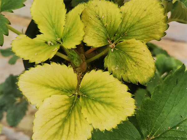 9f95a06322e1971989730ef03750157f.png 9f95a06322e1971989730ef03750157f.png