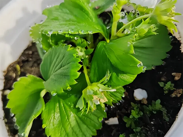 dfcf70a645e16281ef8352e8850b5837.png dfcf70a645e16281ef8352e8850b5837.png