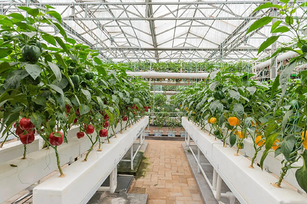 e523e29764b0ffe7246919315a57605c.png e523e29764b0ffe7246919315a57605c.png