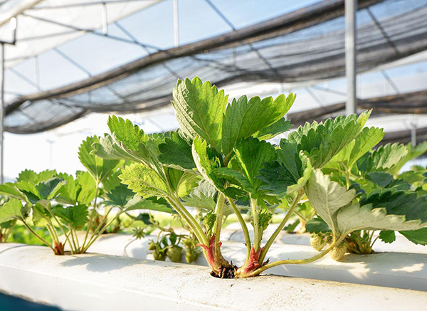 61b9d813505ad7863477059803c555ee.png 61b9d813505ad7863477059803c555ee.png