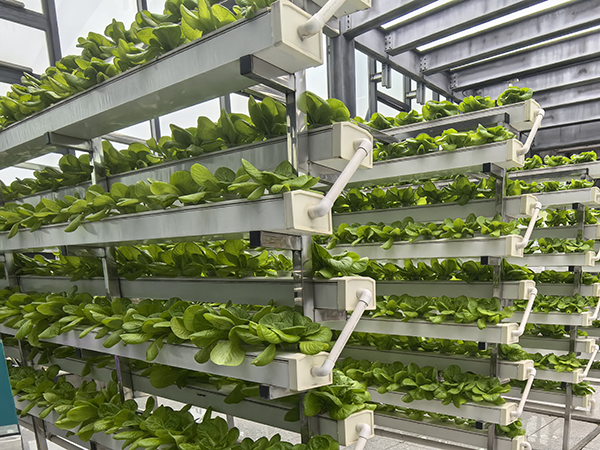 mmexport1742372591836.png mmexport1742372591836.png