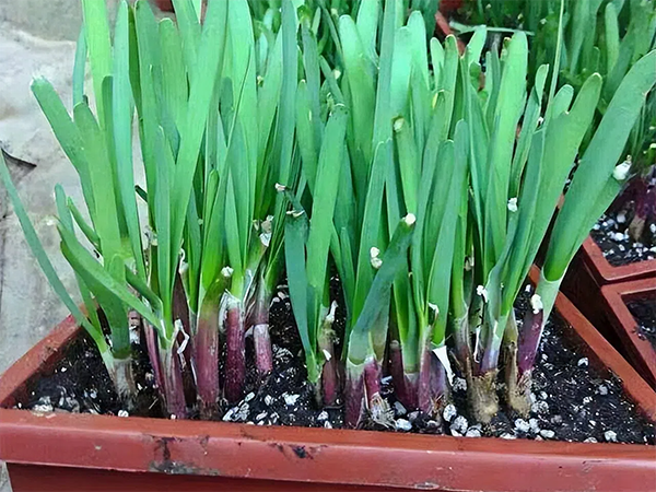 a660fbe11fdeb53c391e785315993693.png a660fbe11fdeb53c391e785315993693.png