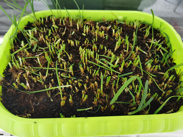 6ce313e8b65dfcaeceec748038734066.png 6ce313e8b65dfcaeceec748038734066.png