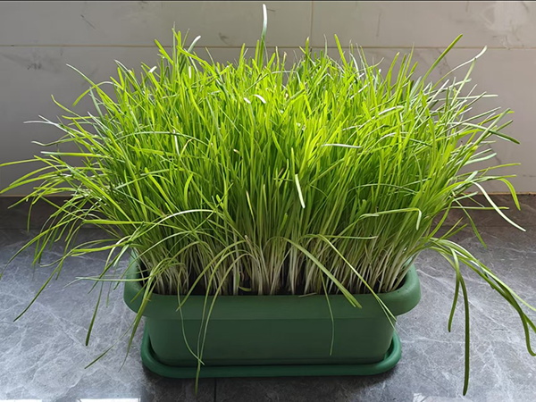 92618b697fb82b34b951f96c1f555b71.png 92618b697fb82b34b951f96c1f555b71.png