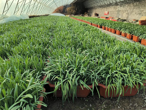 b3a5aaf9d272b6ffabf5acd8d4e62c4c.png b3a5aaf9d272b6ffabf5acd8d4e62c4c.png