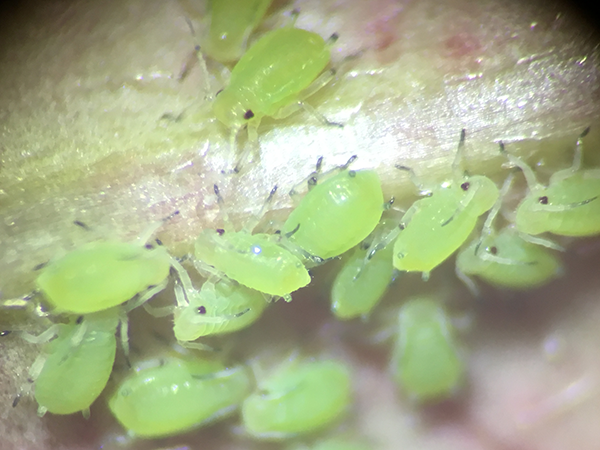 84fc252306595ba01a9750804de12ccf.png 84fc252306595ba01a9750804de12ccf.png