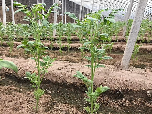 e7e69c74-34a5-4bc8-979d-4f0dd11addad.png e7e69c74-34a5-4bc8-979d-4f0dd11addad.png