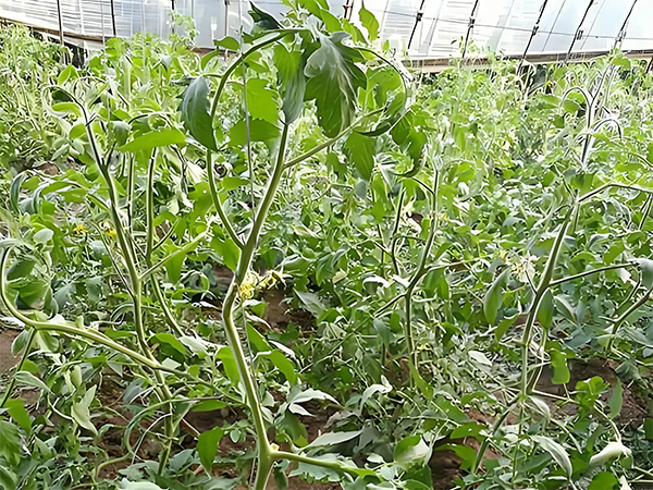 93bb85f89d19c1f6715c45a6b8cf706c.png 93bb85f89d19c1f6715c45a6b8cf706c.png