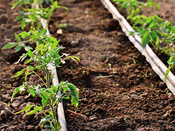 47f87c26d975ae5333692615e7e1725f (1).png 47f87c26d975ae5333692615e7e1725f (1).png