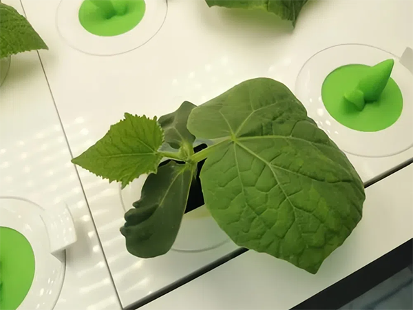 b2595c216142c22038146a8185aace73.png b2595c216142c22038146a8185aace73.png