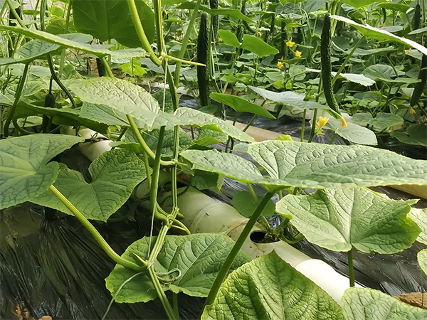 1767c07c2e453139b79873196ffb6281.png 1767c07c2e453139b79873196ffb6281.png