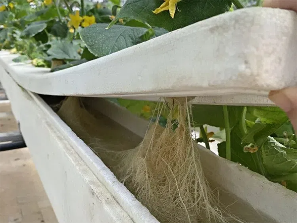 2232c8452cba129dee9825e1bf391d5a.png 2232c8452cba129dee9825e1bf391d5a.png