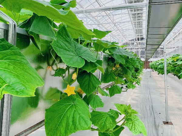 mmexport1743819313597 (1).png mmexport1743819313597 (1).png