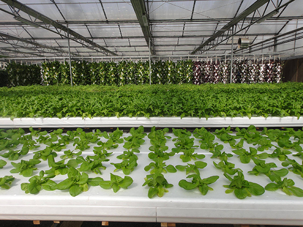 65938ce6ae4d67d1d42b04868b36da40.png 65938ce6ae4d67d1d42b04868b36da40.png