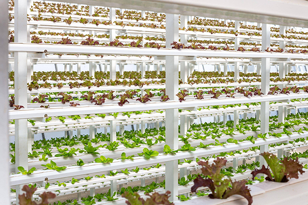 254947336e08069c737de414c6fb0683.png 254947336e08069c737de414c6fb0683.png