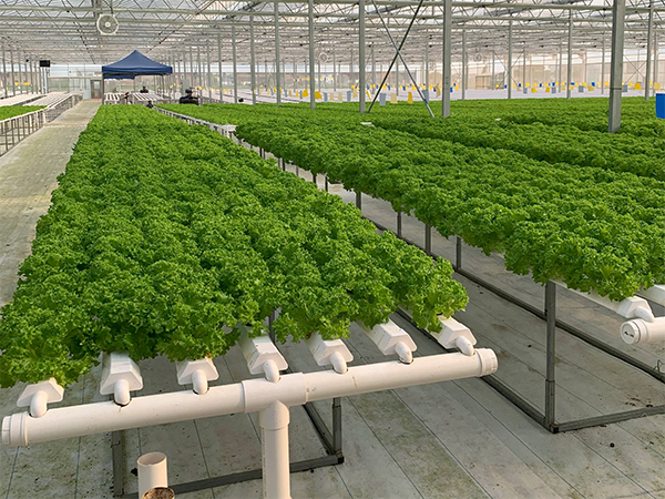 9efd7f70dd7a829836c567bfea759080.png 9efd7f70dd7a829836c567bfea759080.png