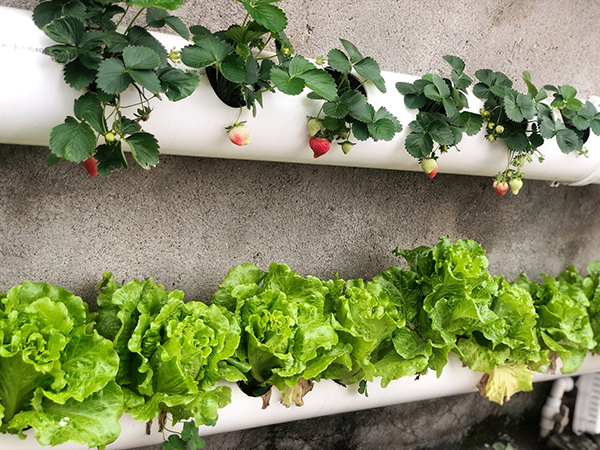 8c41d13c18e00834508c0da1894157a2.png 8c41d13c18e00834508c0da1894157a2.png