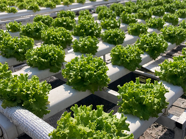 3d30d7cfbb6500c1b473e5965004c5c8.png 3d30d7cfbb6500c1b473e5965004c5c8.png