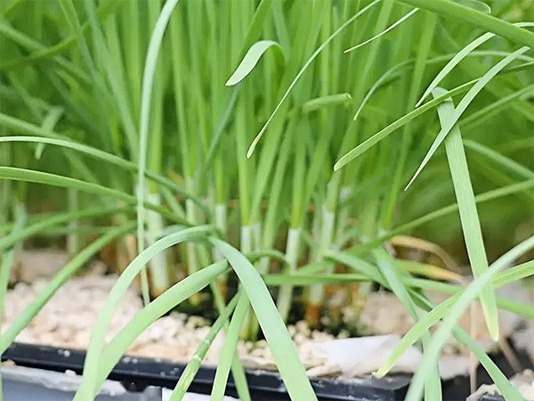 6a2bc5abc8a719574a30e83a68429aaa (1).png