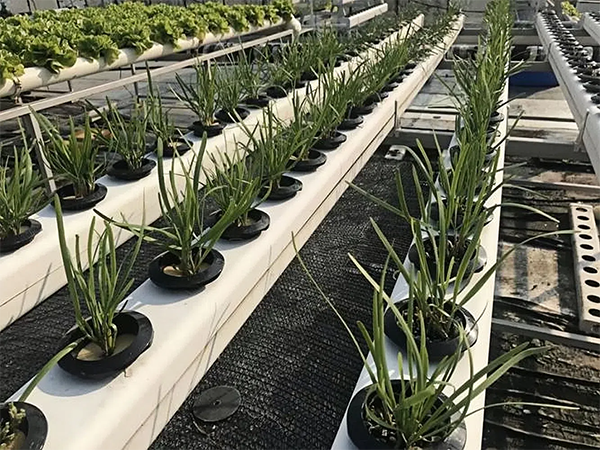 5a165398e1d891ce02257702b9c78d53 (1).png