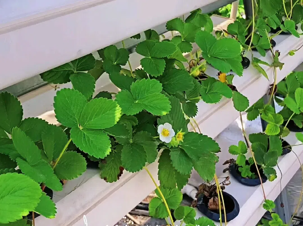 adfebc92942a772523c418ebbac580b1 (1) (1).png