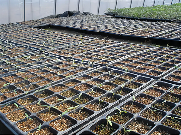 75ede8cd325e021d92e6fe8f3beb99fa.png 75ede8cd325e021d92e6fe8f3beb99fa.png