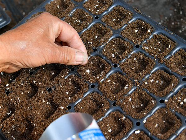 ea95ccd99997592f01022073c9b3c49a.png ea95ccd99997592f01022073c9b3c49a.png