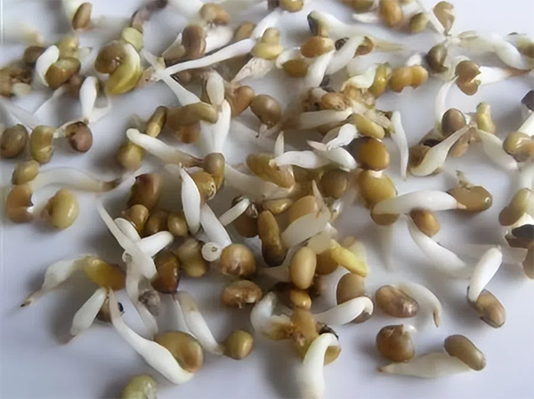 dd5a7e1c4b7d8fad4820494c39a1266d.png dd5a7e1c4b7d8fad4820494c39a1266d.png