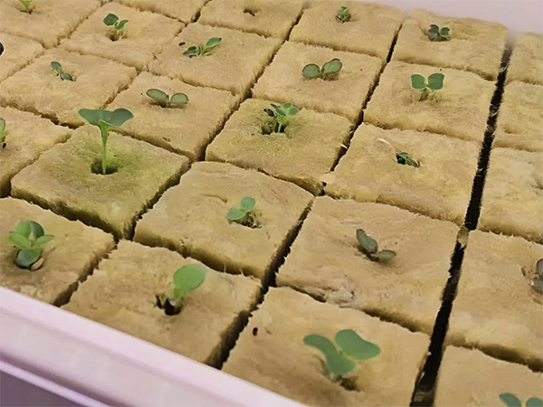 ed95667e59bae54211c5278e59c7f708 (1).png ed95667e59bae54211c5278e59c7f708 (1).png