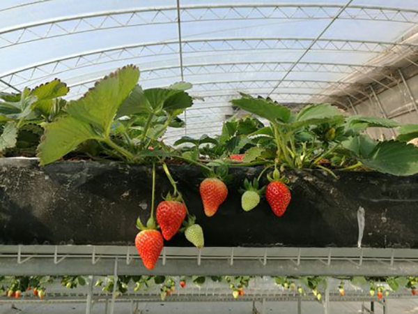 98dbb90efa2cb1f22eb756b77d581b49.png 98dbb90efa2cb1f22eb756b77d581b49.png