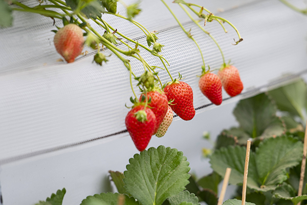 3618c95e4e7d8574c32106ff46f6c3da.png 3618c95e4e7d8574c32106ff46f6c3da.png