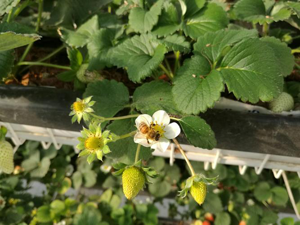 b7e3ee87fc65cd1d0d504e61257c7375.png b7e3ee87fc65cd1d0d504e61257c7375.png