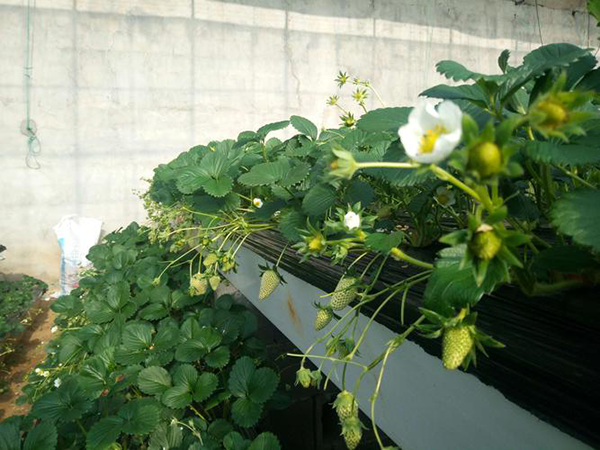 2965b0e71ce1b29374e26802cdc645c1.png 2965b0e71ce1b29374e26802cdc645c1.png