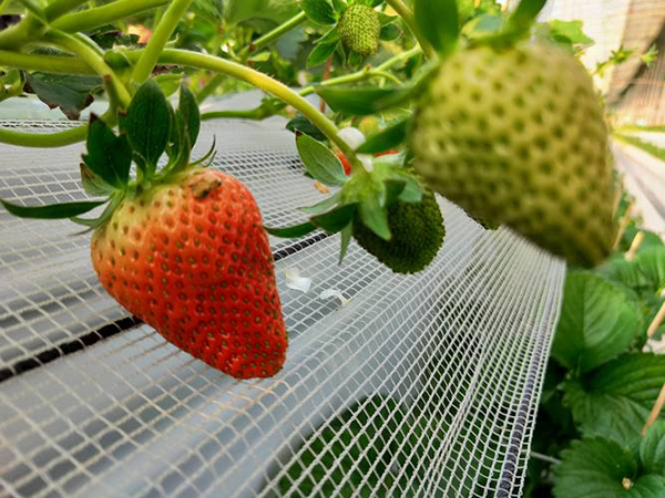 f0a38e5681bd048e67b6a8a6be4120ca.png f0a38e5681bd048e67b6a8a6be4120ca.png