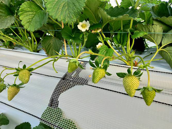 fa97d82c6518c2e0c3adcc37522d3491.png fa97d82c6518c2e0c3adcc37522d3491.png