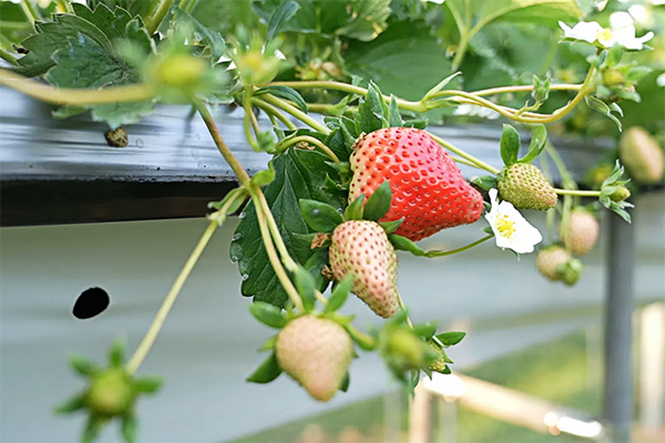 eef12077618e214b5b76394844138520 (1).png eef12077618e214b5b76394844138520 (1).png