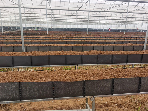 61b4a0557f9acf5f8e30b8f390dd0b93.png 61b4a0557f9acf5f8e30b8f390dd0b93.png