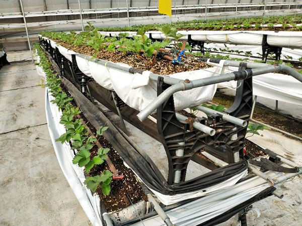 31e320320439b8702e39e524070a48e6.png 31e320320439b8702e39e524070a48e6.png