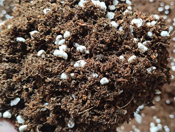 e28f5790d39e688b7b53c490928b95a0 (1).png e28f5790d39e688b7b53c490928b95a0 (1).png