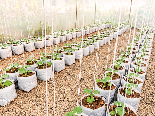 c8876816f00293519a01c07ac5c3cbb9.png c8876816f00293519a01c07ac5c3cbb9.png