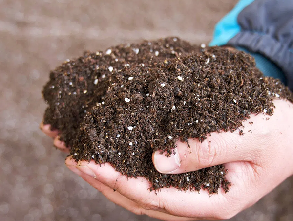 555f2de5e96ad5f8310b7cd939a483b2.png 555f2de5e96ad5f8310b7cd939a483b2.png