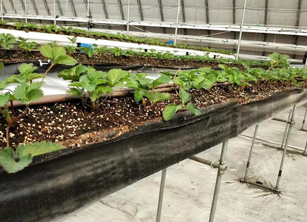 715c7acb9e41bb769b4a2fa3167321de.png 715c7acb9e41bb769b4a2fa3167321de.png