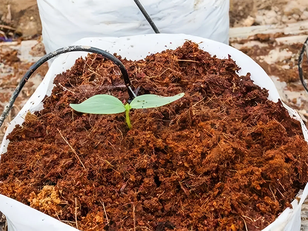 92791365dc0c6caa6268f6d736b7436f.png 92791365dc0c6caa6268f6d736b7436f.png