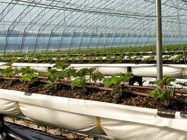 cd5e5503e69159d60dcb381ce138ff5c.png cd5e5503e69159d60dcb381ce138ff5c.png