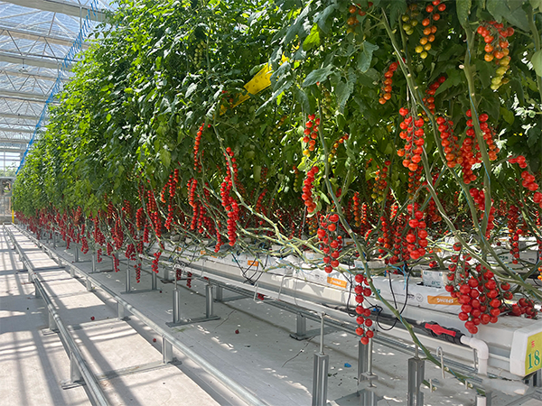 bee373b5fa30c64e255d2f57157baefc.png bee373b5fa30c64e255d2f57157baefc.png