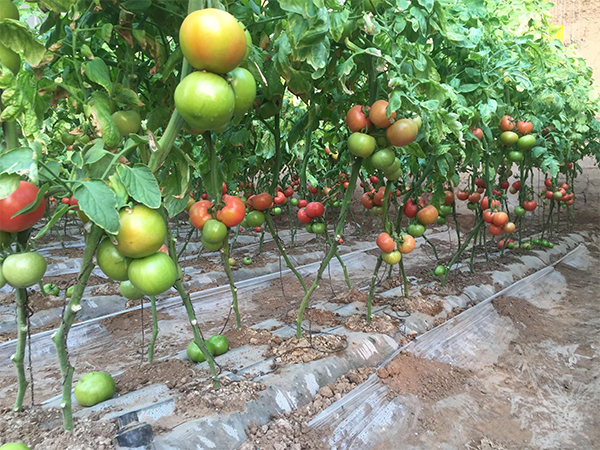 89af0dab3b1a3f54ed7e7654b9baeea5.png 89af0dab3b1a3f54ed7e7654b9baeea5.png