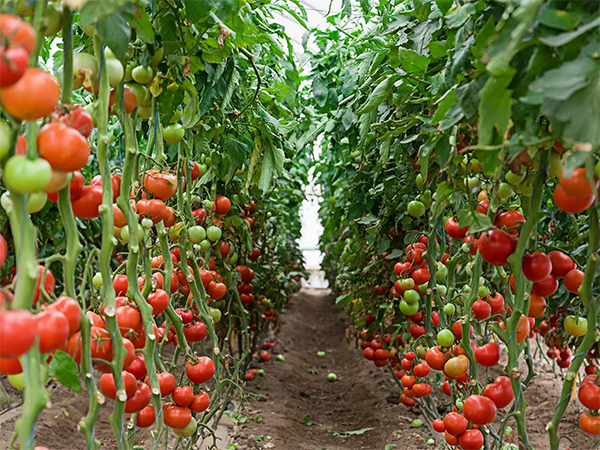 c800d7b7600903c6084e4a2cf4976290.png c800d7b7600903c6084e4a2cf4976290.png