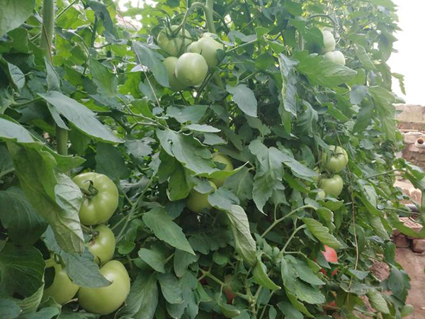 2b2bcf2afa0906a63fd7c6fd450e375d.png 2b2bcf2afa0906a63fd7c6fd450e375d.png