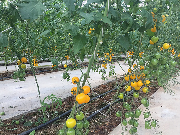 95f02e1324c5168be99ff163e69f1ecd.png 95f02e1324c5168be99ff163e69f1ecd.png